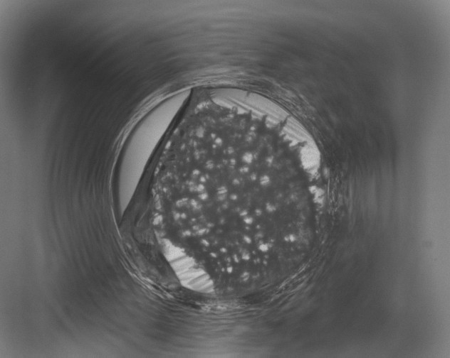 X0000081580099200702121458