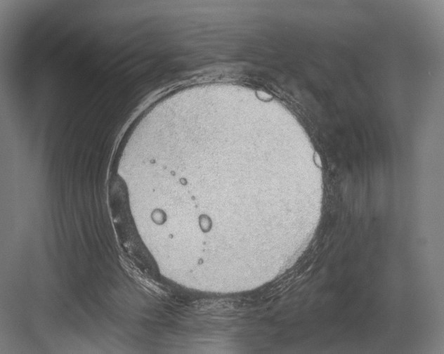 X0000081580100200702121458