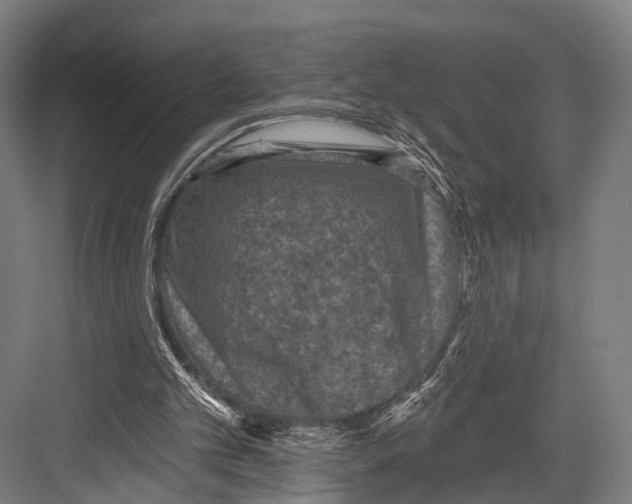 X0000081580101200702121458