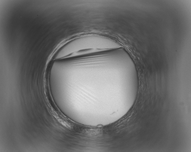 X0000081580102200702121458