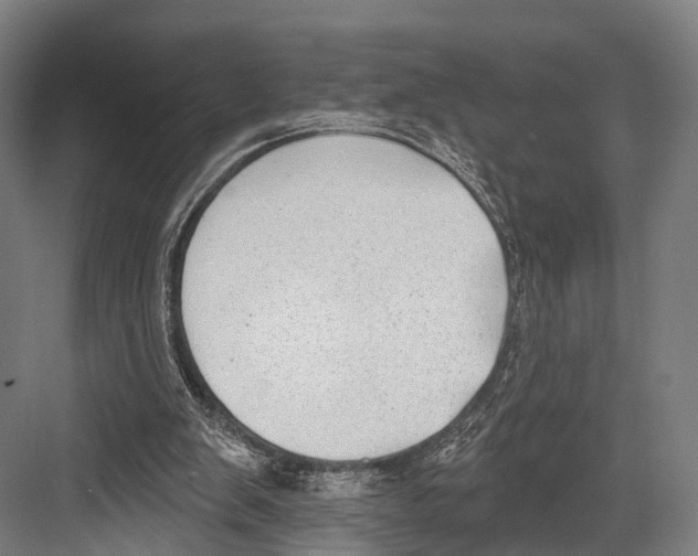 X0000081580103200702121458