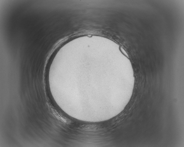 X0000081580104200702121458