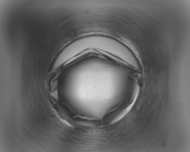 X0000081580105200702121458