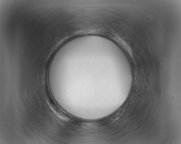 X0000081580107200702121458