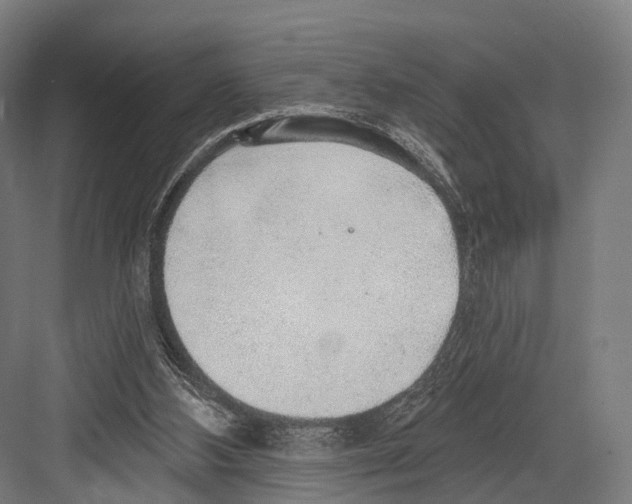 X0000081580108200702121458