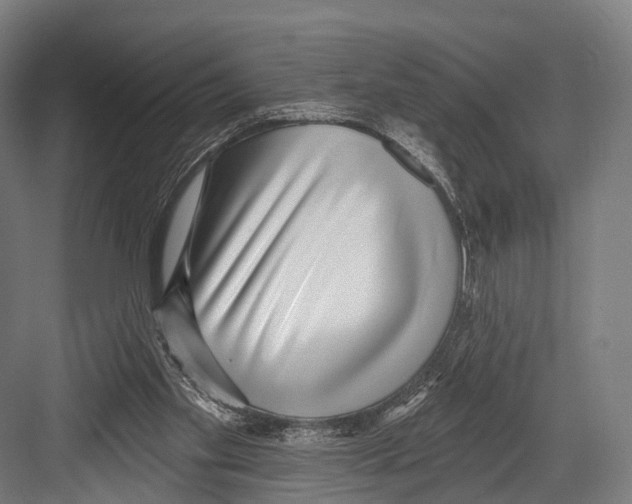 X0000081580109200702121458