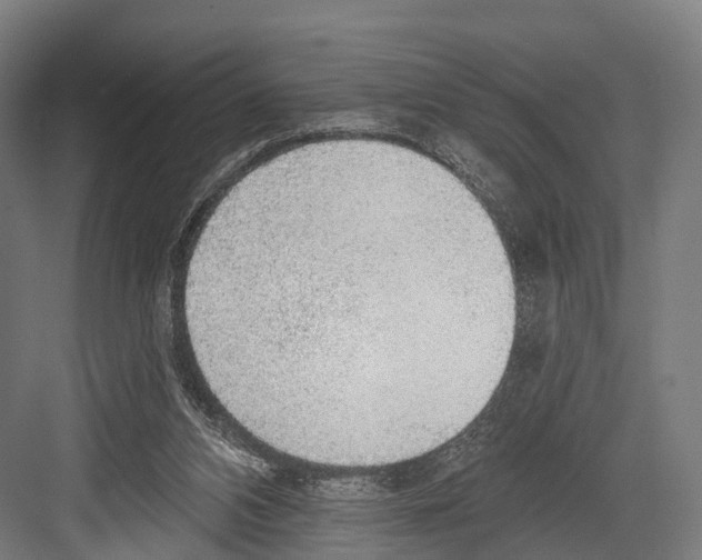 X0000081580112200702121458