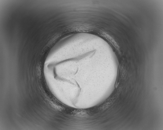 X0000081580113200702121458