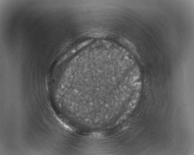 X0000081580114200702121458