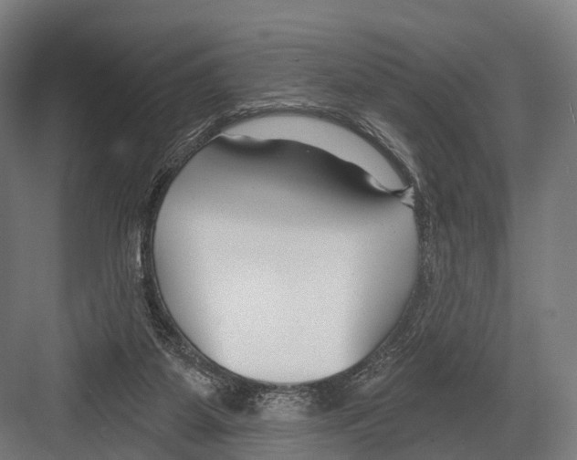 X0000081580115200702121458