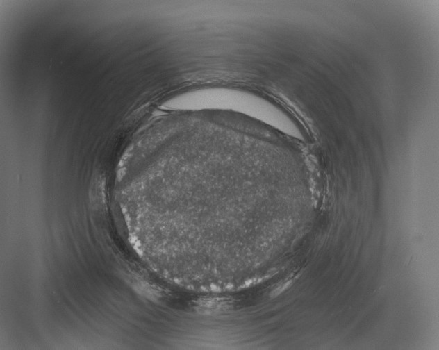 X0000081580117200702121458