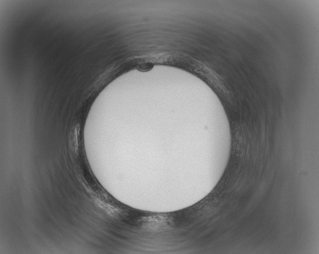 X0000081580118200702121458