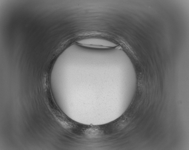 X0000081580119200702121458