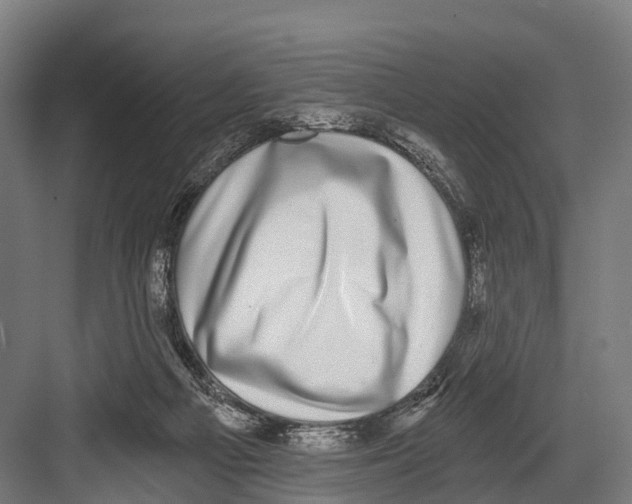 X0000081580121200702121458