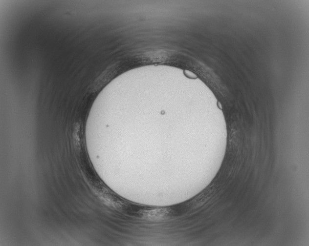 X0000081580122200702121458