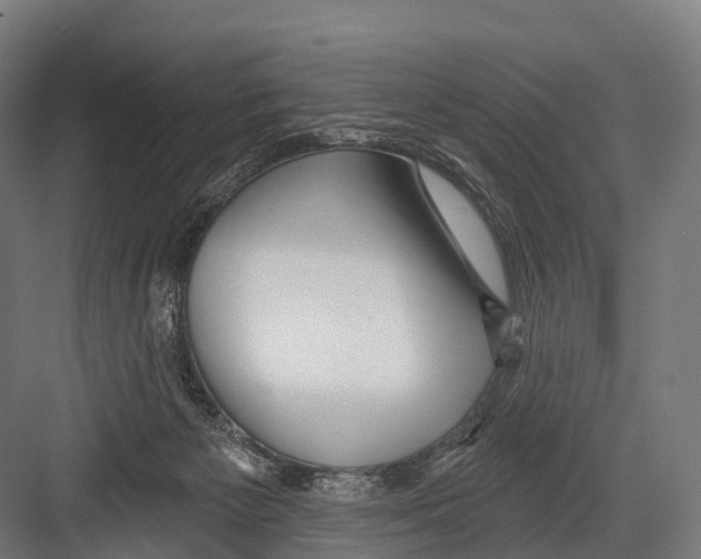 X0000081580125200702121457