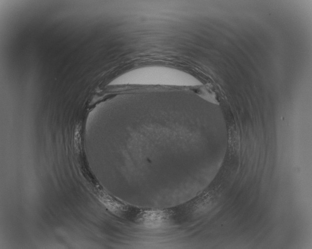 X0000081580127200702121457