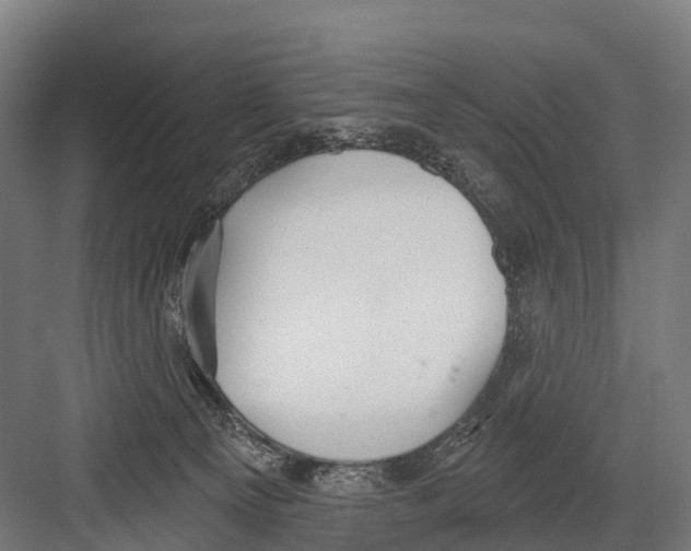 X0000081580129200702121457