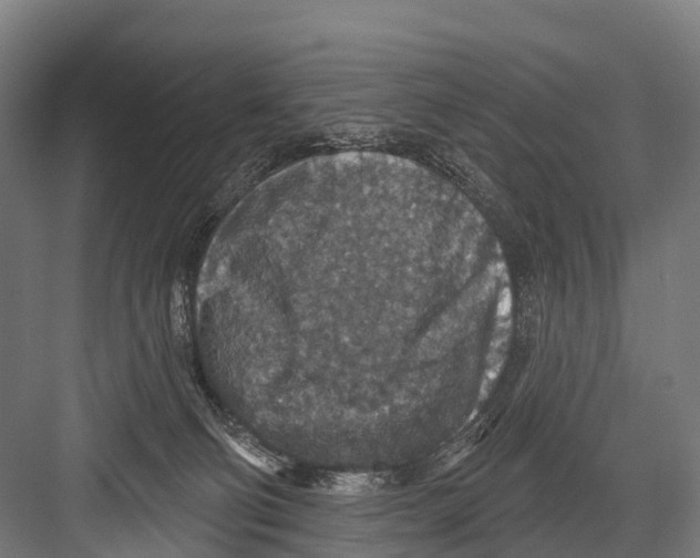 X0000081580130200702121457