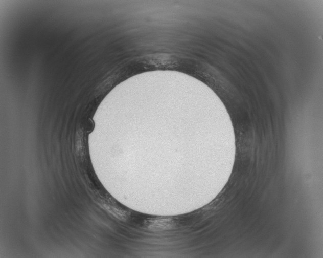 X0000081580132200702121457