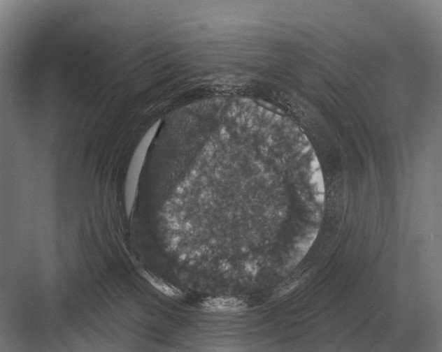 X0000081580137200702121457