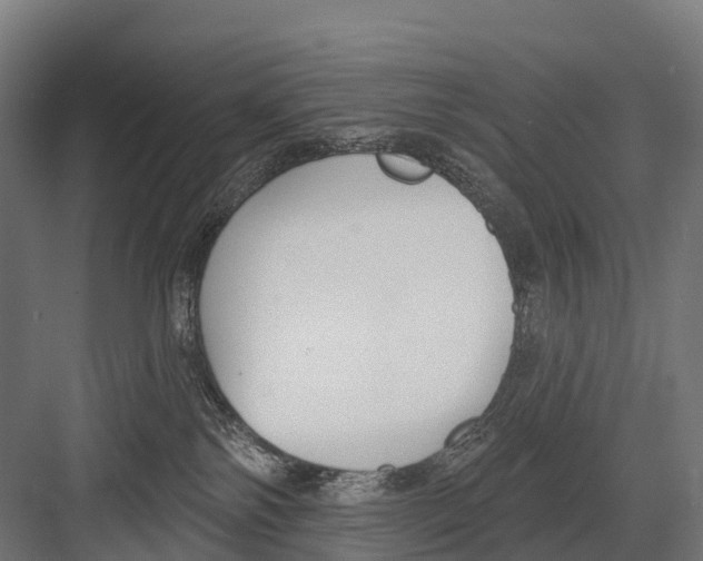 X0000081580138200702121457