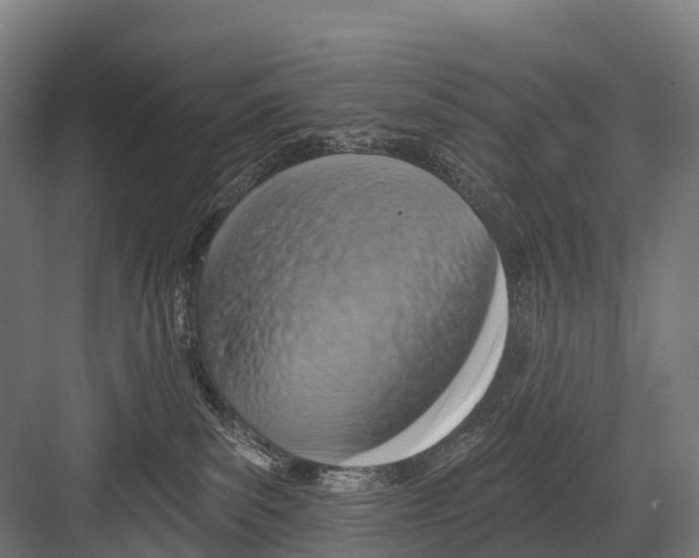 X0000081580139200702121457