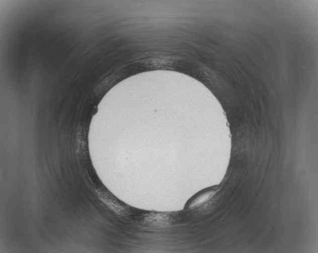 X0000081580140200702121457