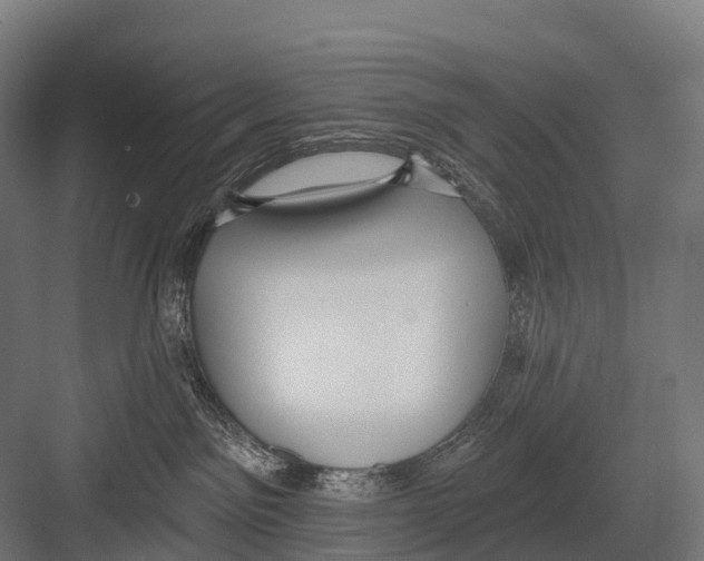 X0000081580141200702121457