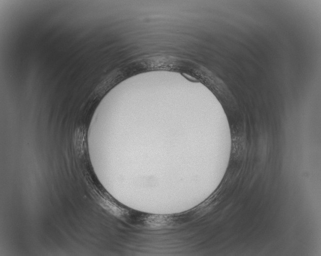 X0000081580142200702121457