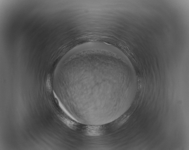 X0000081580143200702121457