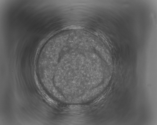 X0000081580145200702121456