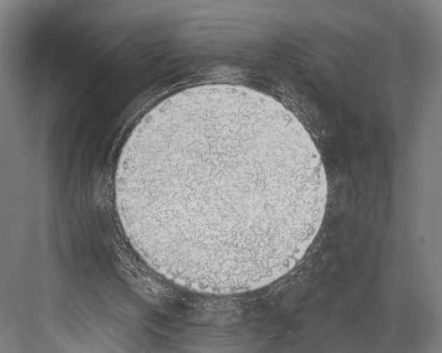 X0000081580146200702121456