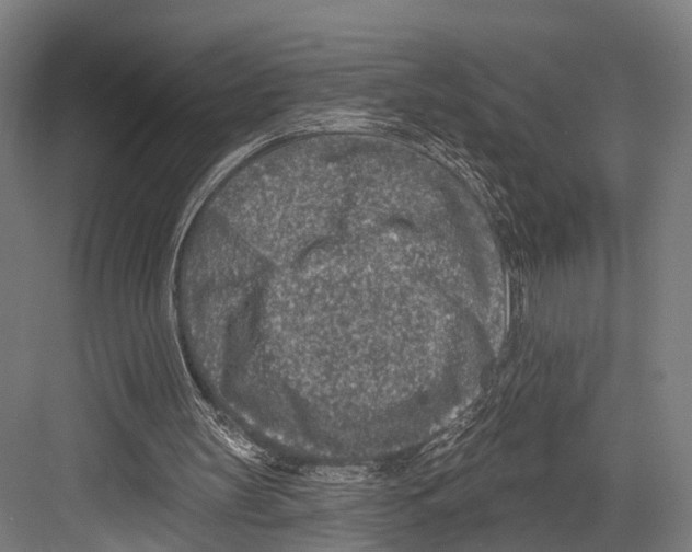 X0000081580147200702121456