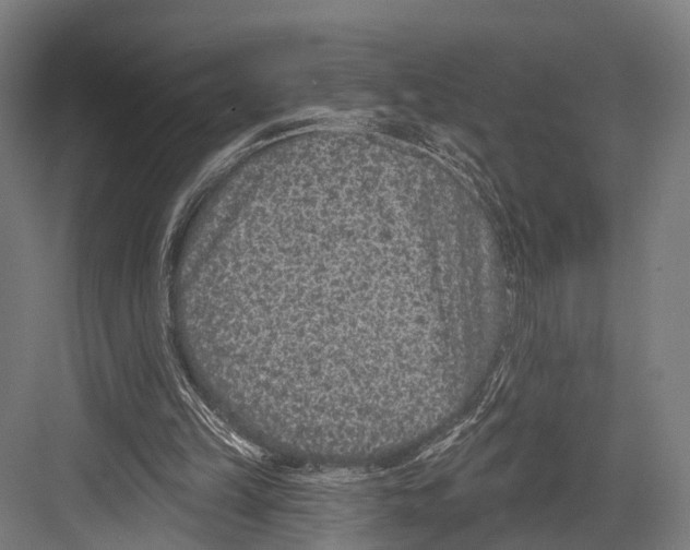 X0000081580149200702121456