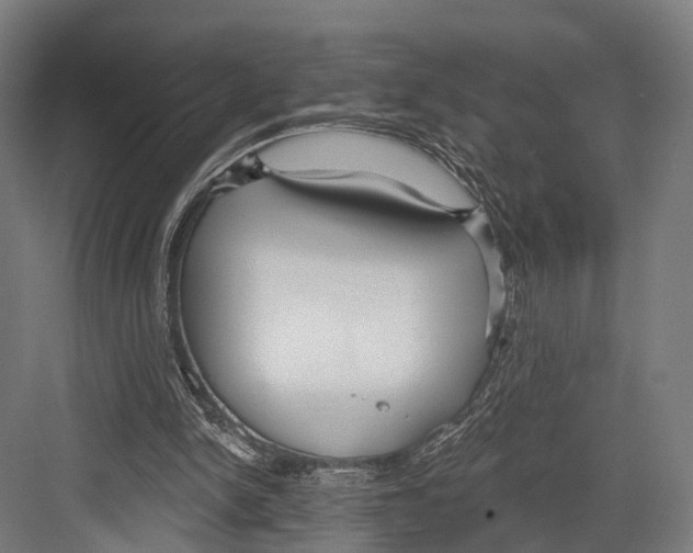 X0000081580150200702121456