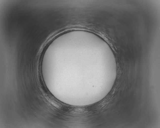 X0000081580151200702121456