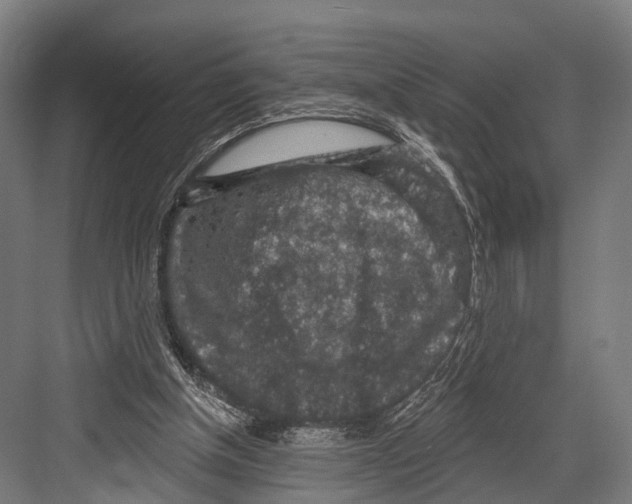 X0000081580154200702121456