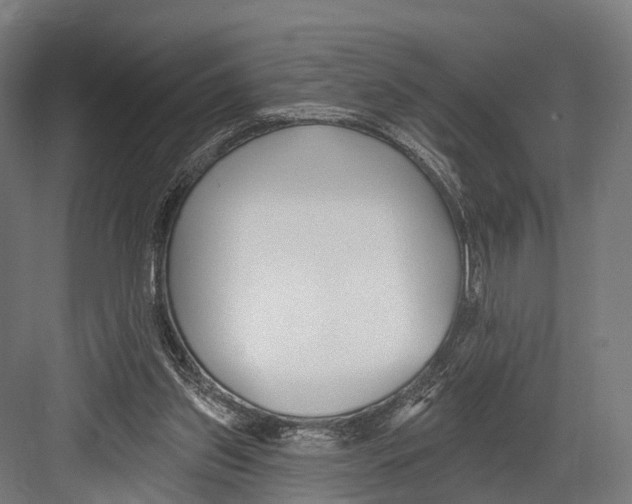 X0000081580157200702121457