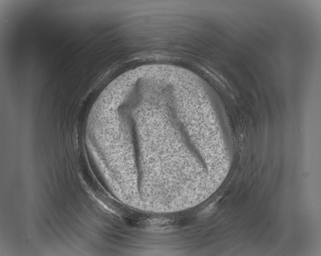 X0000081580158200702121457