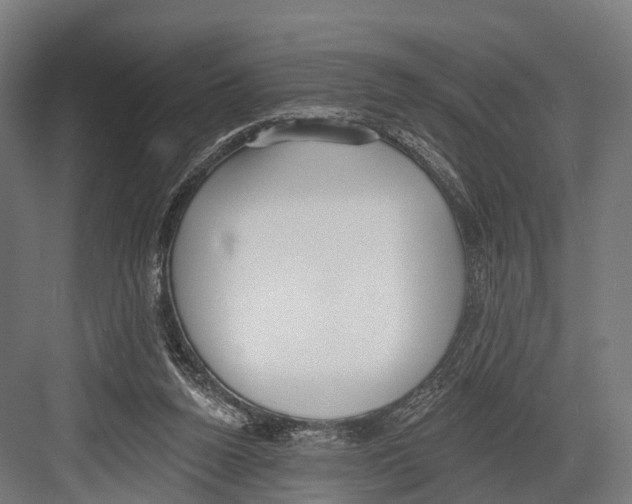 X0000081580160200702121457