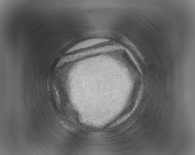 X0000081580161200702121457