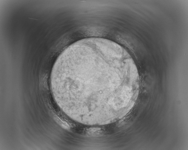 X0000081580162200702121457