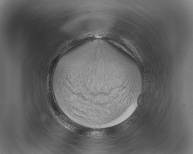 X0000081580163200702121457