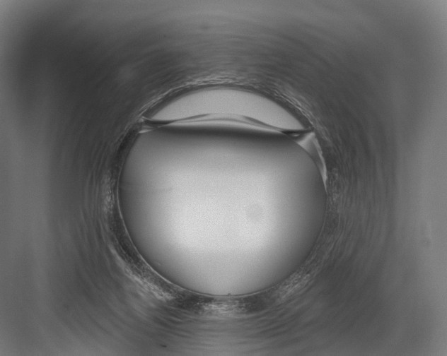 X0000081580164200702121457