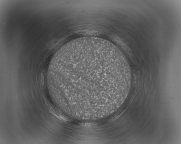 X0000081580165200702121457