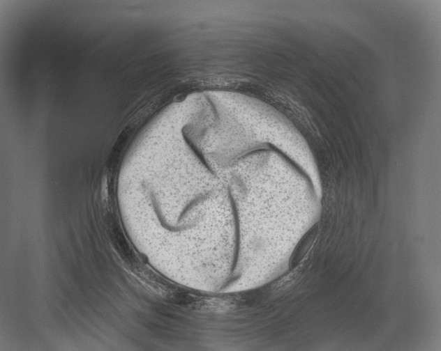 X0000081580166200702121457