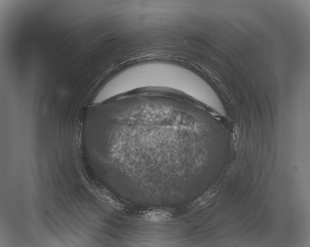 X0000081580168200702121457