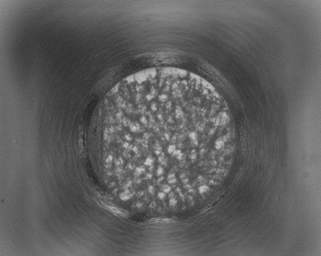 X0000081580169200702121457