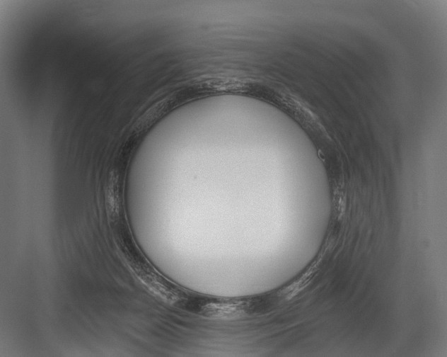 X0000081580170200702121457